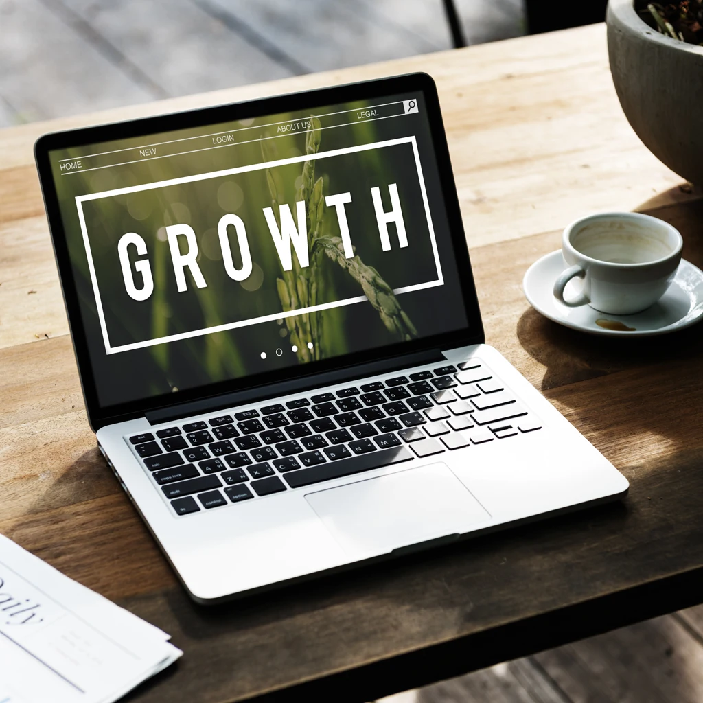 Brenes Marketing business growth